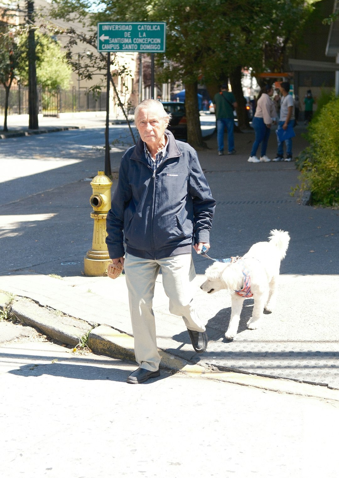 concepcion chile streets